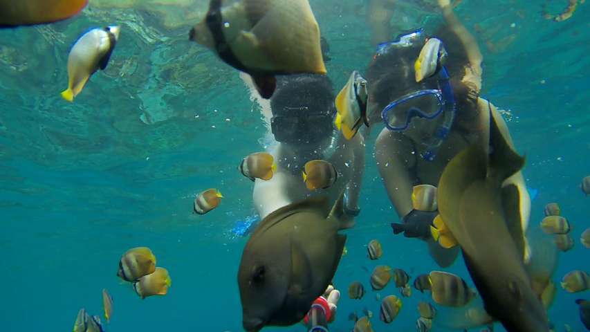 Snorkeling Bali Candidasa