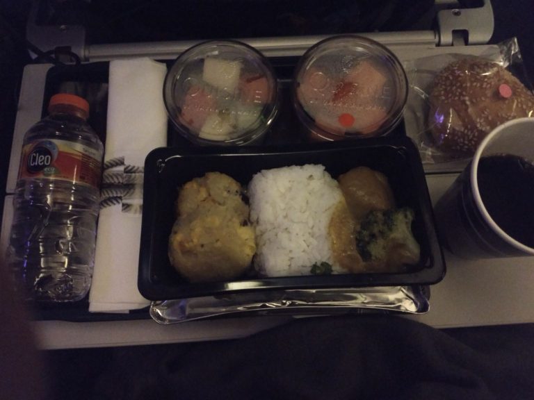 Qatar Airways Economy Review (Asian Vegetarian Meal) - TaleTravels