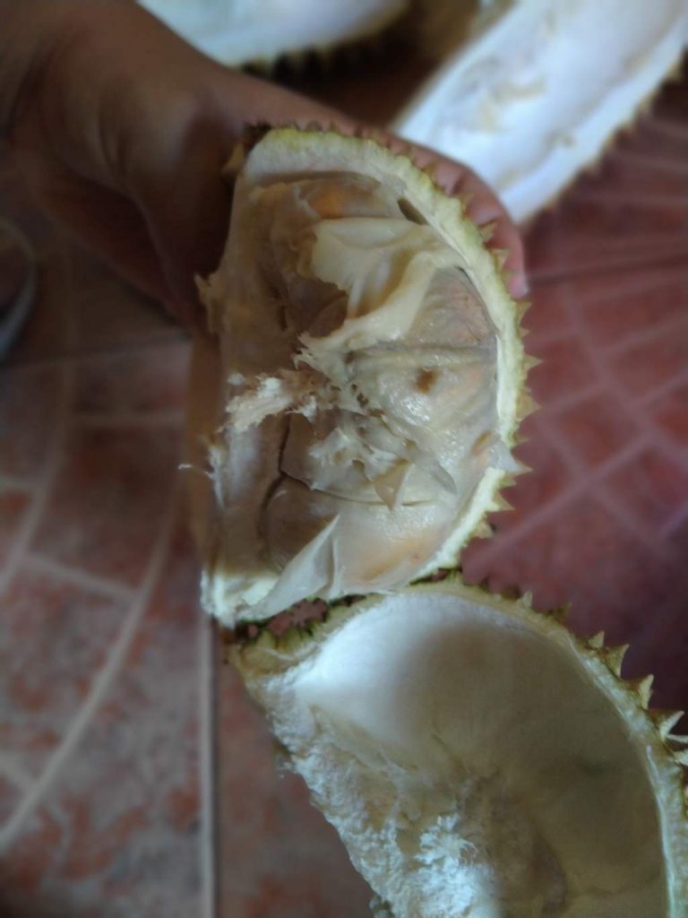durian with alcohol