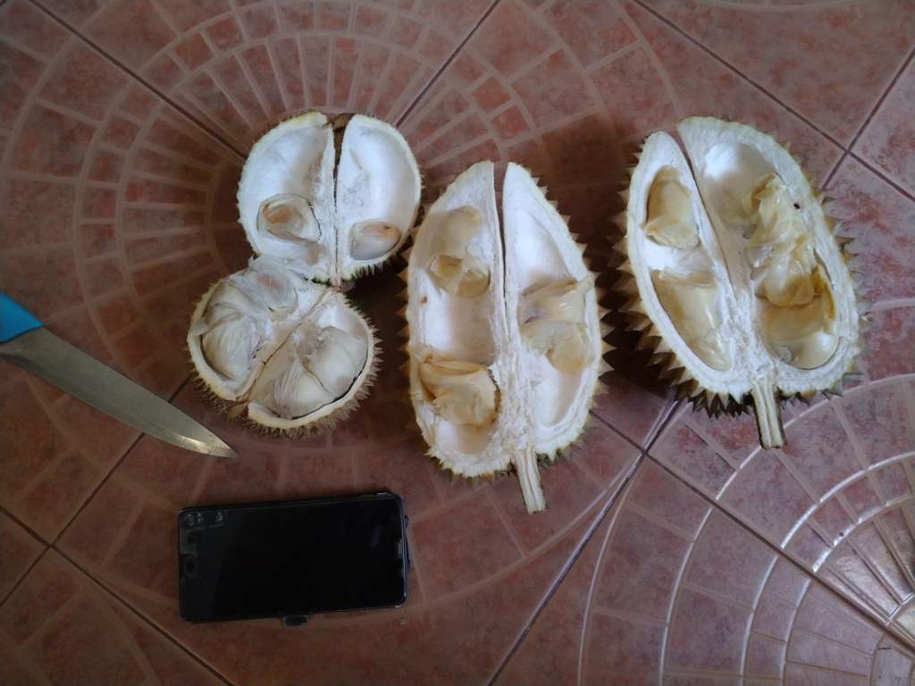 Inside the Durian.