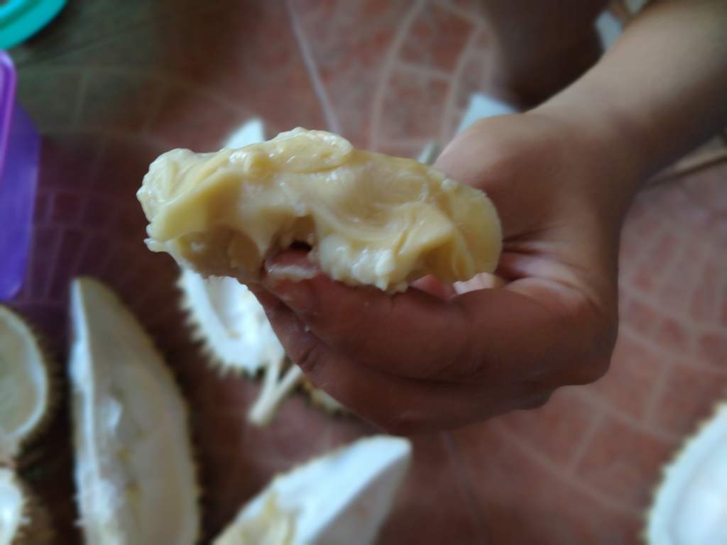 Durian: Le Roi des fruits - Les meilleures plongées à Bali