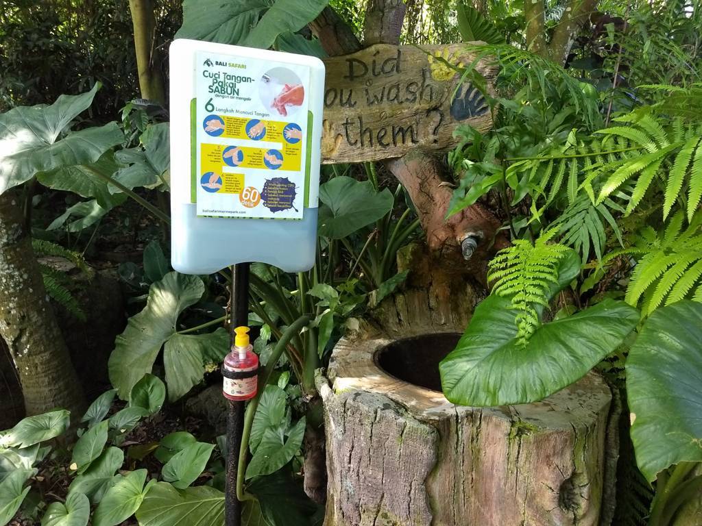 wash your hands on activity bali marine safari